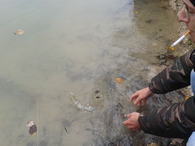 remise a l eau 2.jpg